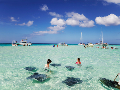 Grand Cayman  Cayman Islands southern stingray Cruise Excursion Booking