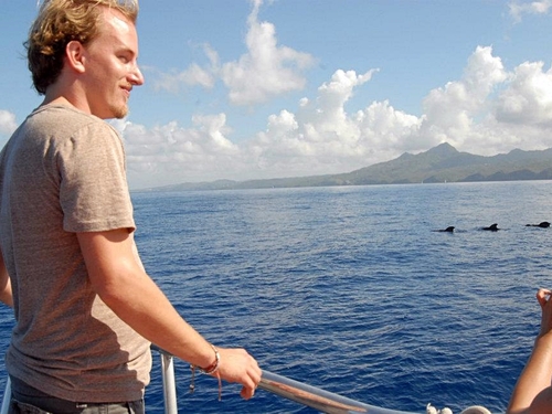 St. Lucia Pilot whale Cruise Excursion Reservations