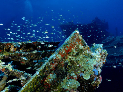Aruba Antilla ship wreck Shore Excursion Cost