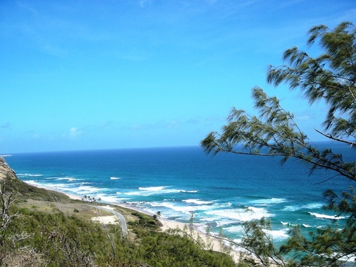 Barbados  West Indies (Bridgetown) island nature highlights Tour