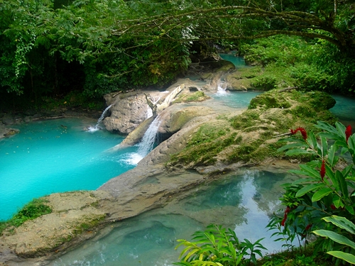 Ocho Rios Jamaica dunns river falls Trip Reservations