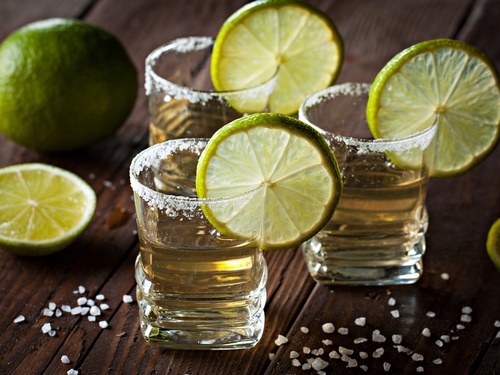 Mazatlan Mexico tequila distillery Tour Cost