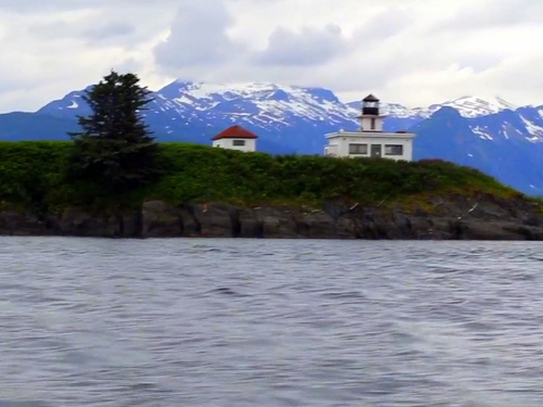 Juneau Alaska orcas watching Shore Excursion Reviews