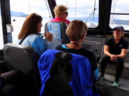 Juneau whale watching Tour Booking