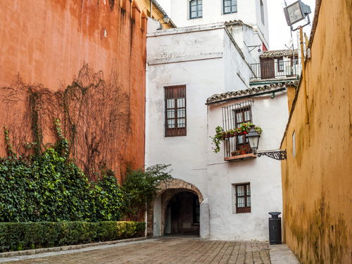 cadiz Seville Spain seville city sightseeing Shore Excursion Reviews