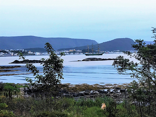 Alesund Norway Giske Sightseeing Excursion Prices