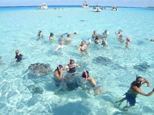 Grand Cayman Snorkel Tickets Booking