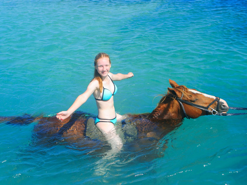 Ocho Rios swim with horses Shore Excursion