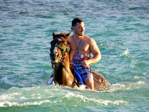 Turks and Caicos horseback riding Shore Excursion Reviews