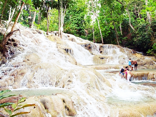 Ocho Rios  Jamaica waterfalls Trip Reservations