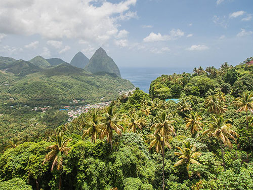St. Lucia (Castries) flora Tour Prices