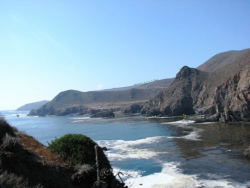 Ensenada tropical fish Trip