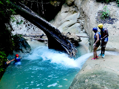 Amber Cove Flora and Fauna Adventure Tour Booking