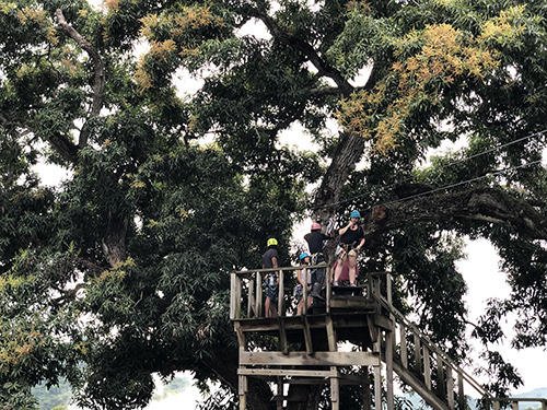 Amber Cove Sightseeing Adventure Excursion Booking