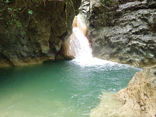 Amber Cove Dominican Republic Damajagua Waterfalls Adventure Trip Prices
