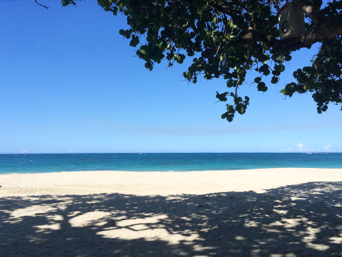 Amber Cove Dominican Republic Golden Beach Trip Booking