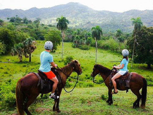 Amber Cove petting zoo Combo Trip Tickets