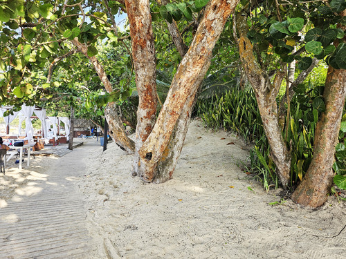Amber Cove Puerto Plata Playa Dorada Jack Tar Resort Beach Break Excursion