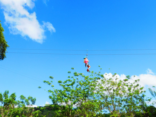 Amber Cove Puerto Plata Sightseeing and Zip Line Canopy Excursion