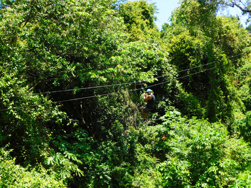 Amber Cove Puerto Plata Sightseeing and Zip Line Canopy Excursion