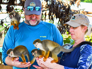 Amber Cove Squirrel Monkey Encounter and 8 Zip Lines Excursion