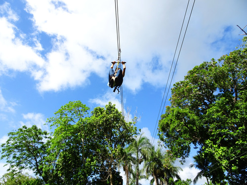 Amber Cove Squirrel Monkey Encounter and 8 Zip Lines Excursion