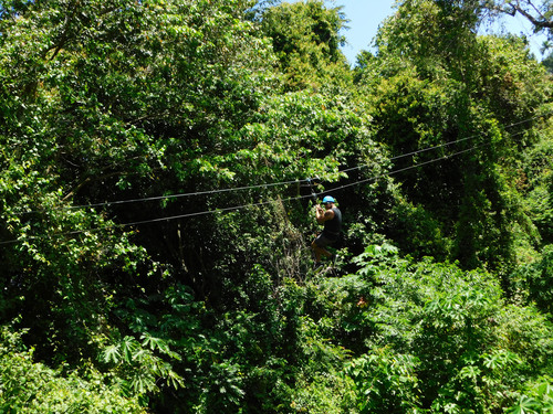 Amber Cove Squirrel Monkey Encounter and 8 Zip Lines Excursion