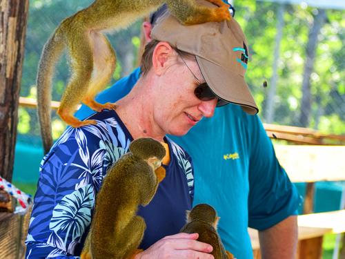 Amber Cove Squirrel Monkey Encounter and 8 Zip Lines Excursion