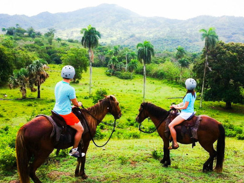 Amber Cove Squirrel Monkey Encounter and Horseback Riding Excursion 
