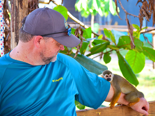 Amber Cove Squirrel Monkey Encounter and Horseback Riding Excursion 