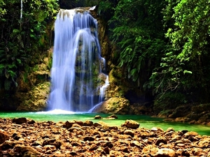 Amber Cove Tropical Forest Trek and Natural Pool Swimming Excursion