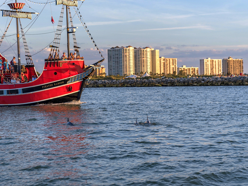 Tampa dolphins race Tour Prices