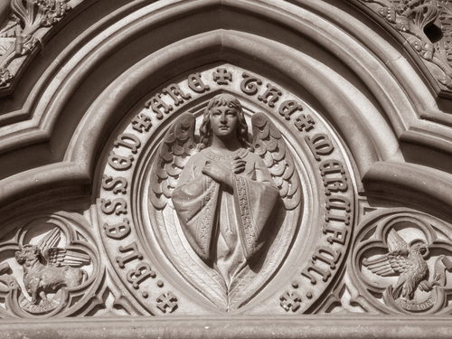 Amsterdam  Holland Vondelpark City Sightseeing Tour Cost