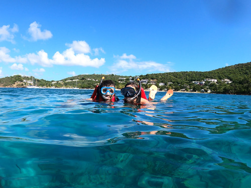 Antigua  St. John's Swimming Cruise Excursion Cost