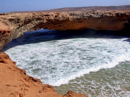 Aruba Highlights Cruise Excursion Reviews