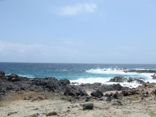 Aruba Oranjestad Aruba Excursion Trip Reservations