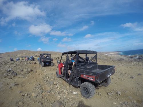 Aruba Oranjestad  Cruise Excursion Reservations