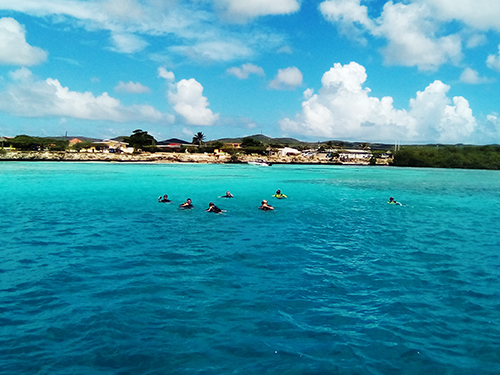 Aruba DSD Dive Excursion Reservations