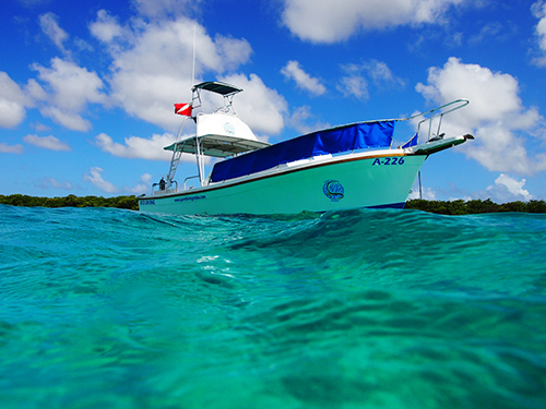 Aruba (Oranjestad) Marine Life Cruise Excursion Prices