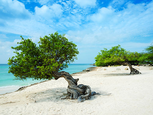 Aruba Museums Scooter Trip Tickets