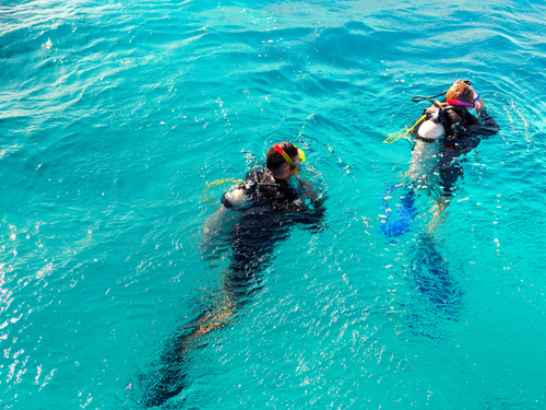 Aruba (Oranjestad) Marine Life Dive Tour Reservations