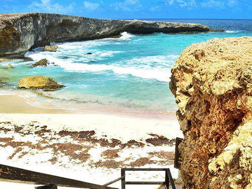 Aruba Oranjestad Museums Shore Excursion Reviews