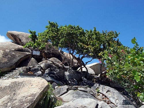 Aruba Sightseeing Excursion Tickets