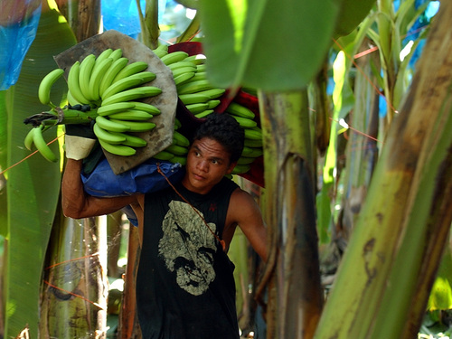 Puerto Limon Costa Rica banana plantation Cruise Excursion Cost