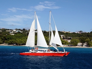 Barbados Catamaran Sail, Sea Turtle, Shipwreck and Tropical Fish Snorkel Excursion
