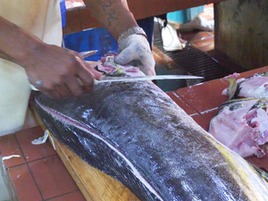 Barbados Oistins Fish Lovers Food Walking Excursion