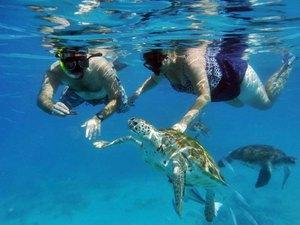 Barbados Shipwreck Snorkel, Turtles, Lunch and Open Bar Excursion