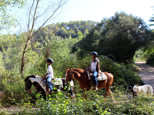 Barcelona montserrat cable car horseback riding Excursion Prices