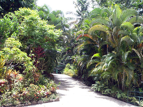 St. Lucia (Castries) nature trail Shore Excursion Reservations