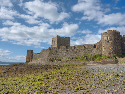 Belfast Carrick a rede Rope Bridge Cultural Cruise Excursion Booking